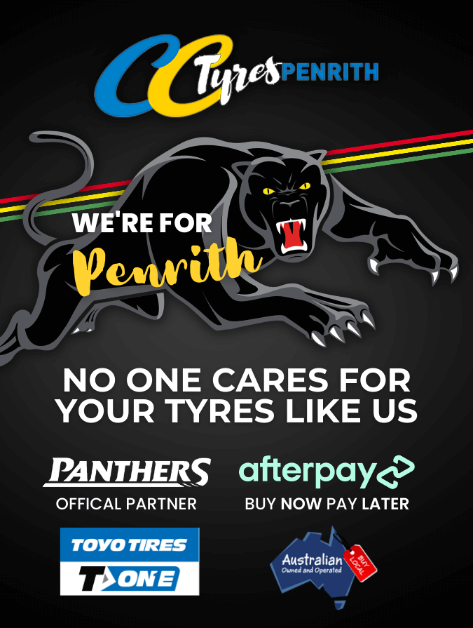Panther Official Partner